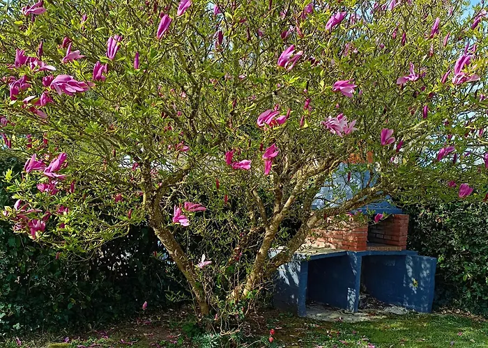 Σπίτι διακοπών Le Petit Tot *